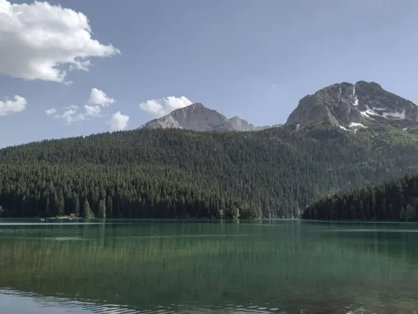 Nebeliger Bergsee zwischen bewaldeten Tälern